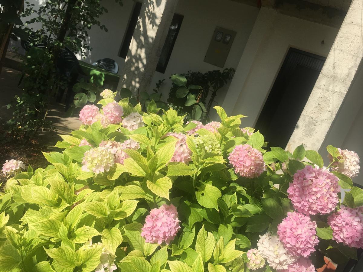 Guesthouse Star Мостар Екстериор снимка